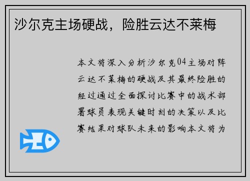 沙尔克主场硬战,险胜云达不莱梅 沙尔克主场硬战,险胜云达不莱梅