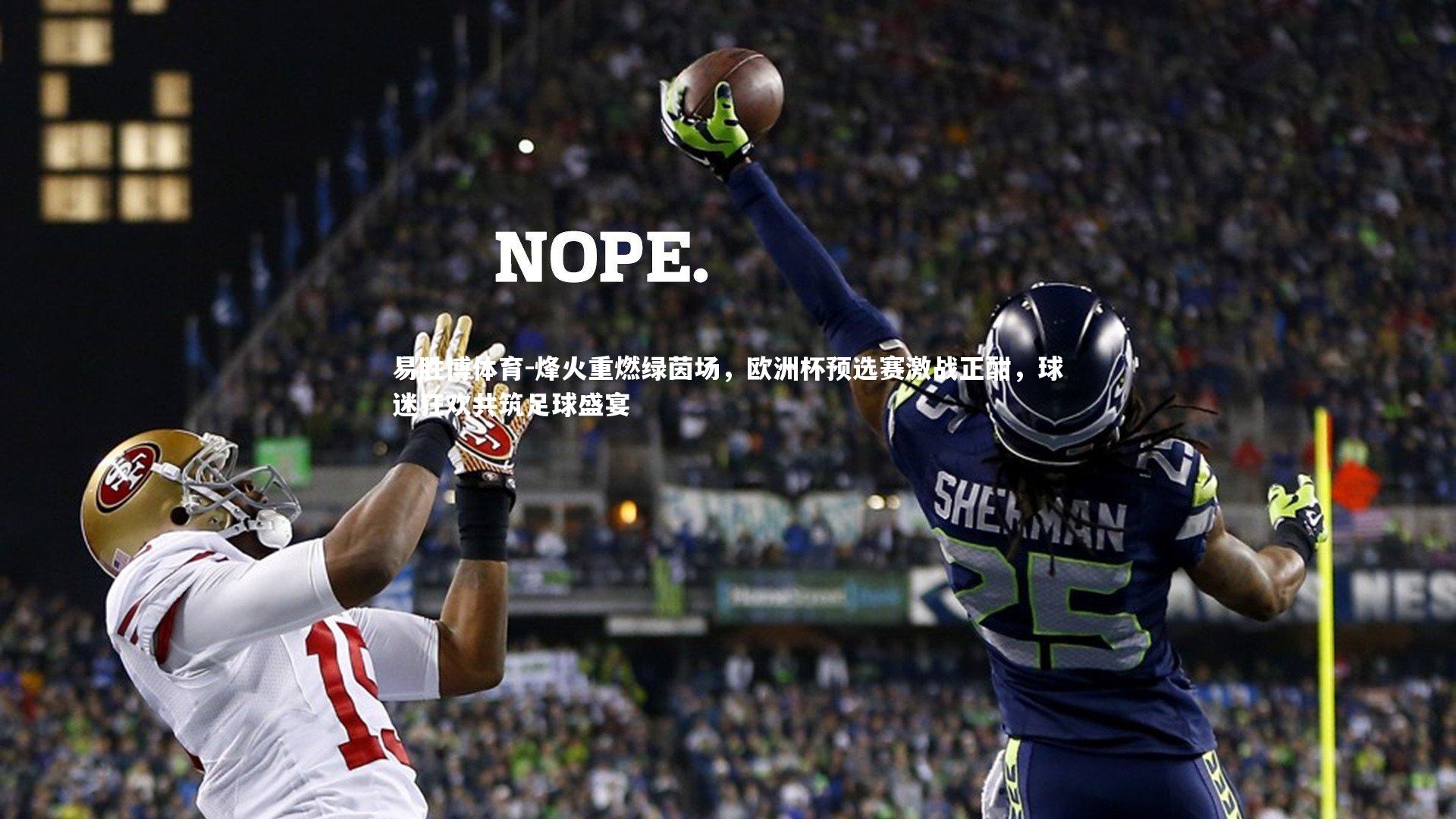 烽火重燃绿茵场，欧洲杯预选赛激战正酣，球迷狂欢共筑足球盛宴